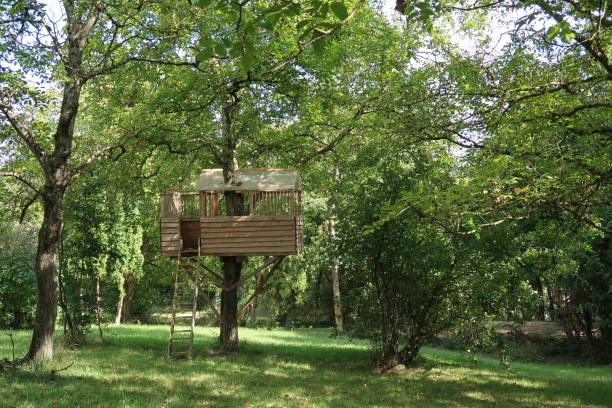 Treehouse stock photo