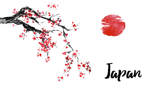 japan traditionell sumi-e malerei. sakura kirschblüte. tusche-abbildung. japanische bild. - japan nautical vessel sakura tokyo prefecture stock-grafiken, -clipart, -cartoons und -symbole
