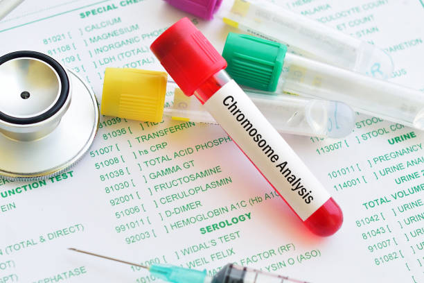 blut für die chromosomenanalyse - laboratory equipment dna father scientific experiment stock-fotos und bilder