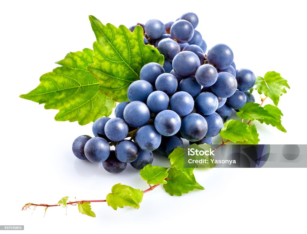 Blue grapes with green leaf healthy eating. Blue grapes with green leaf healthy eating, isolated on white background. Grape Stock Photo