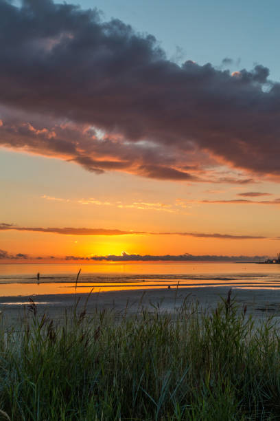 istock Evening In August on Tallinn Bay 937432080