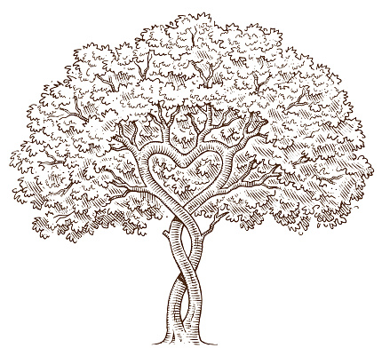 A small tree with intertwined branches and the branches forming a heart shape.