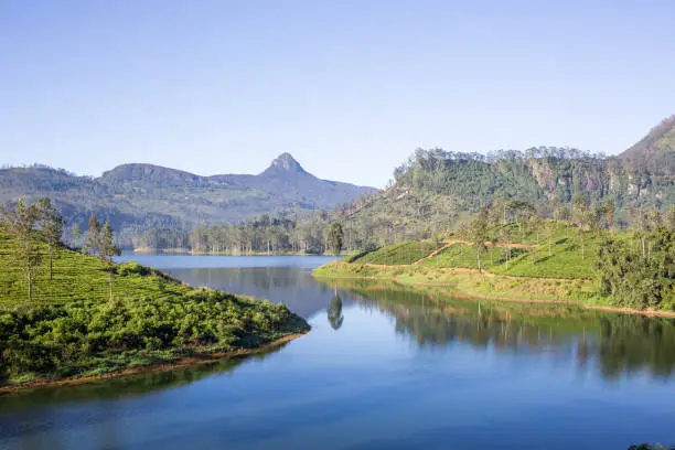 Photo of beautiful landscape of sri lanka. river, mountains and tea plantations