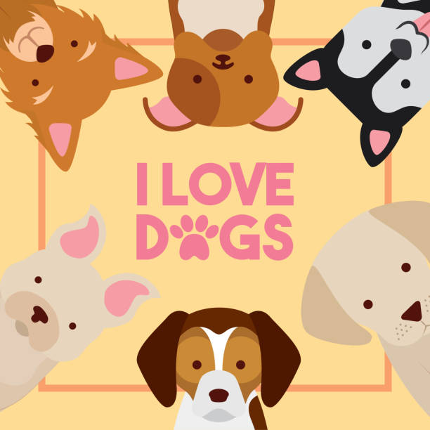 zwierzę domowe psa - dog set humor happiness stock illustrations