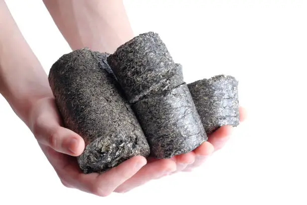 Photo of Fuel briquette from sunflower husks in hands.