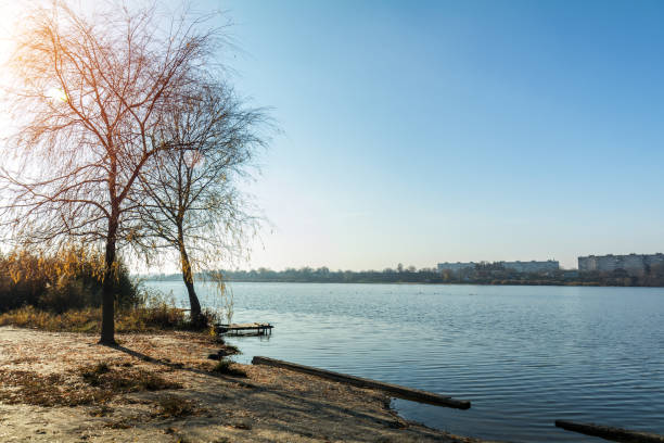 istock Autumn sunny landscape. Beach with a pier near the river 937488514