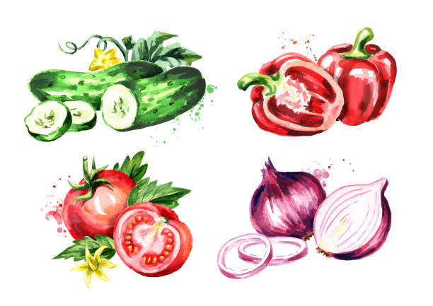 istock Vegetables. Watercolor hand drawn illustration, isolated on white background 937498074