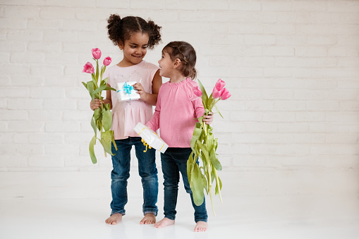 Two sweet little girls holding gifts and tulips for mother's day. One of them is mixed race and she is four years old. The other one is caucasian ethnic and she is 2 years old. The photo can be use also for father's day, valentine's day, birthdays. The photo was taken in Quebec Canada.