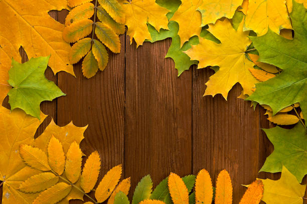 istock Autumn leaves over old brown wooden background with empty space 937499470