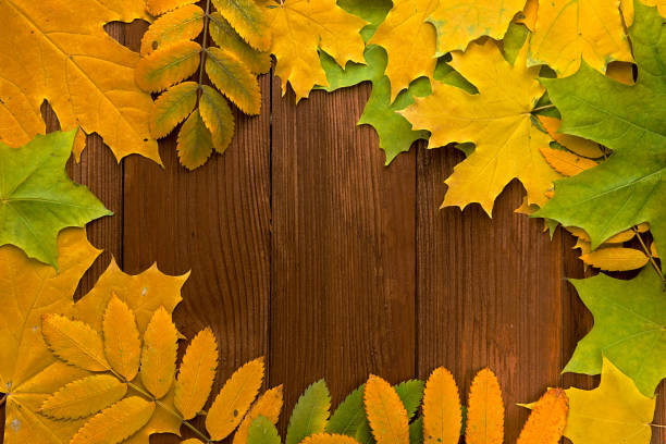 istock Autumn leaves over old brown wooden background with empty space 937499698