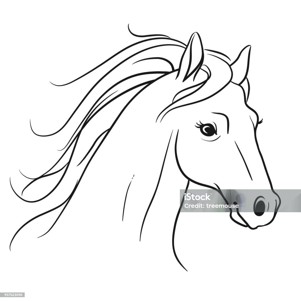 My Image 4
