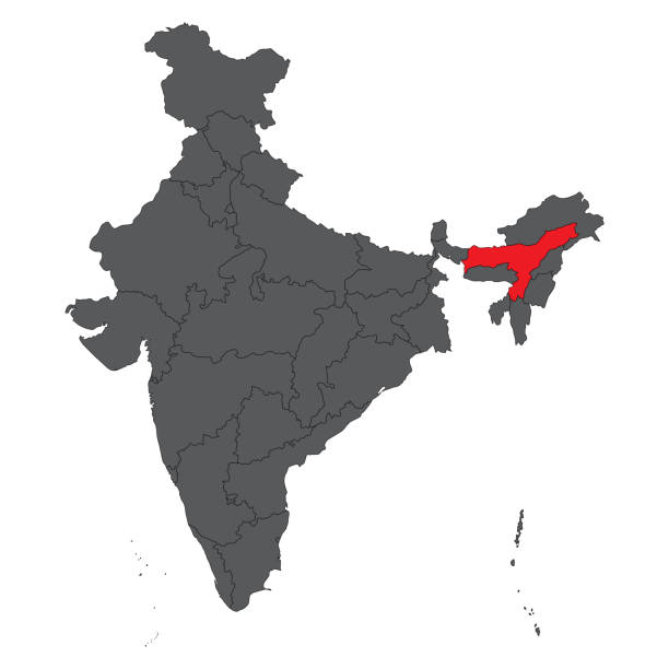 Assam red on gray India map vector Assam red on gray India map vector assam stock illustrations