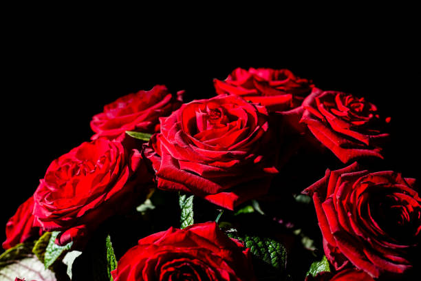 istock bouquet of red roses 937526650