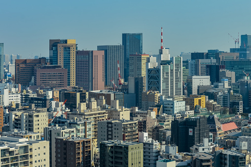 Tokyo skyline and cityscape