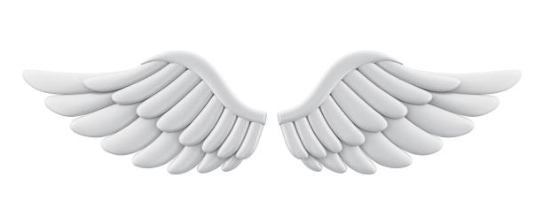 White Angel Wings Isolated White Angel Wings isolated on white background. 3D render costume wing stock pictures, royalty-free photos & images