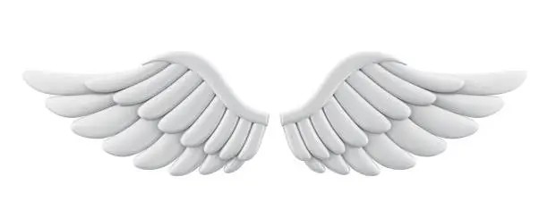 Photo of White Angel Wings Isolated