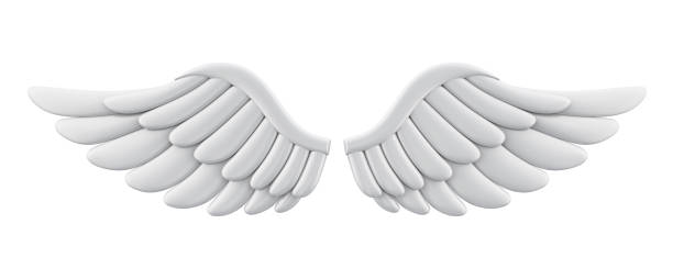 white angel wings isolated - wing imagens e fotografias de stock