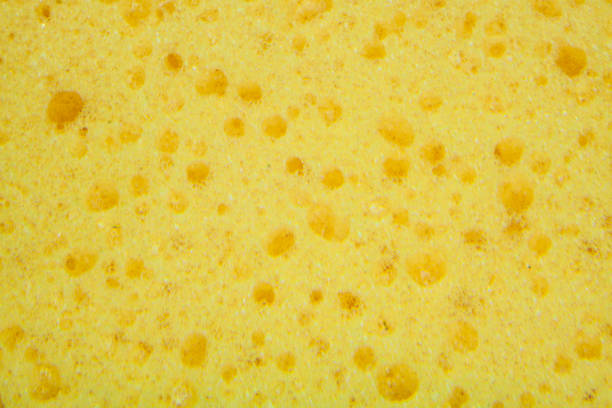 istock color Yellow sponge texture background macro shot 937536506