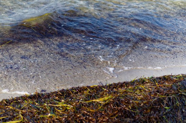 Beach with sand at the German Baltic coast with waves
