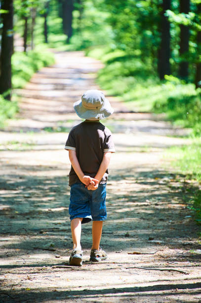 istock Small child boy walking or hiking on a path through the forest 937540204