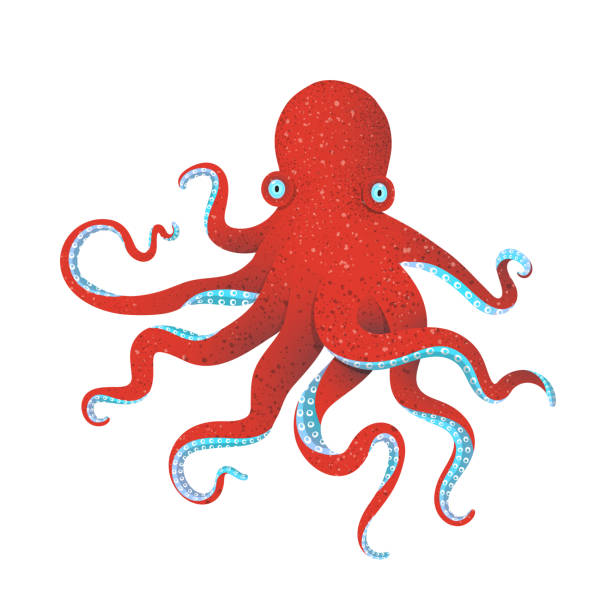 Red Octopus Devilfish tentacles isolated graphic illustration. Vector cartoon. octopus stock illustrations