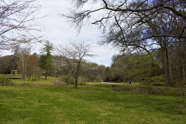 istock Hiking Trails in Between the Green Meadow in A Park 937547082