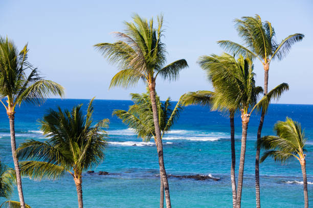 istock Mauna Lani Bay Big Island Hawaii 937550134