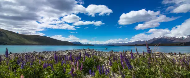 Lake Tekapo is the second-largest of three roughly parallel lakes running north–south along the northern edge of the Mackenzie Basin in the South Island of New Zealand