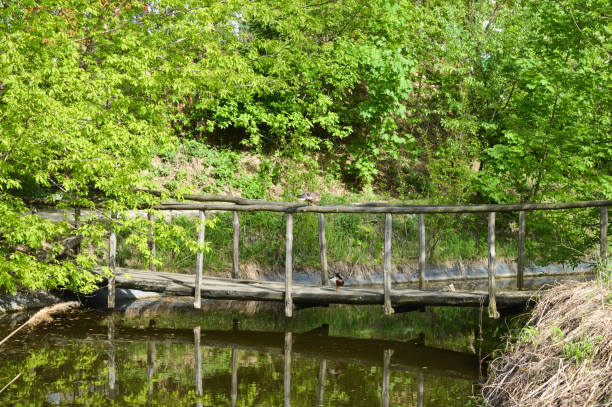 istock Beautiful view of wooden bridge 937562384