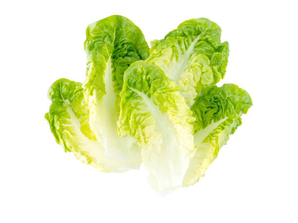 istock Green lettuce salad leaves 937562452