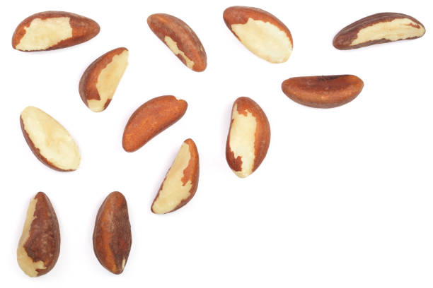 istock Brazil nuts isolated on white background closeup with copy space for your text. Top view. Flat lay 937579856
