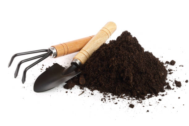 istock garden tools in soil isolated on white background 937584806