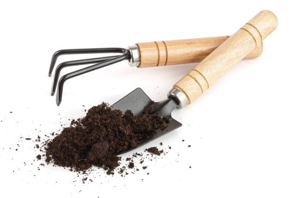 istock garden tools in soil isolated on white background 937584824