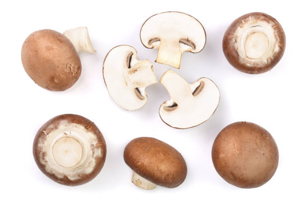 istock Fresh champignon mushrooms isolated on white background. Top view. Flat lay 937587178