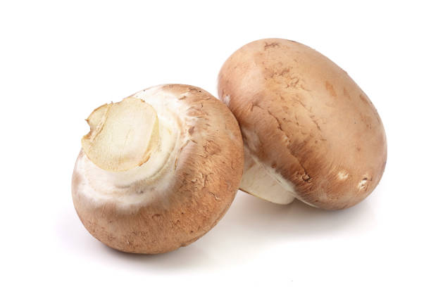 istock Royal Brown champignon isolated on white background 937587514