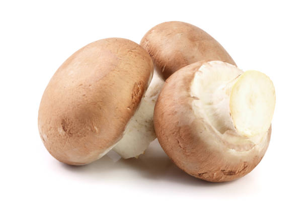 istock Royal Brown champignon isolated on white background 937587562