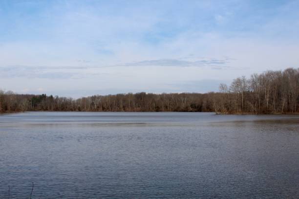 istock Morning Sun at Lake 937598180