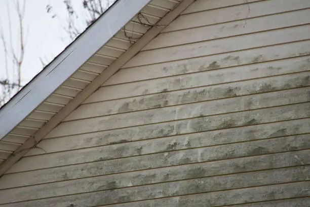 Vinyl siding that has molded and is starting to fall apart on a house. Soffit and fascia are damaged, shingles are blowing off the roof.