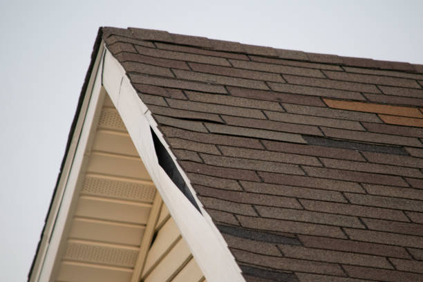 дом с молди винил сидинг, соффит, фасция, и поврежденная крыша - siding house plastic roof стоковые фото и изображения