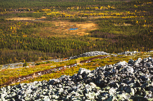 A placating Finnish landscape in Lapland. Fjeld Pyhä. Noitatuntury