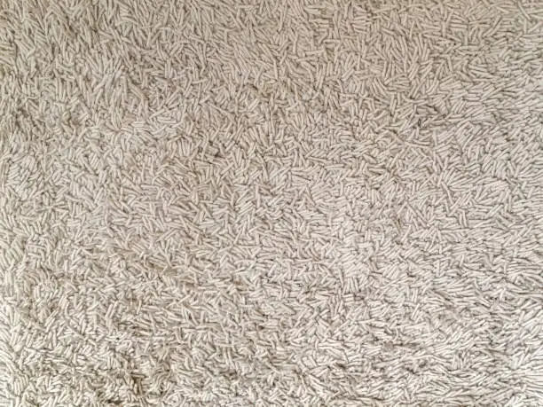 Photo of Beige chenille rug textured