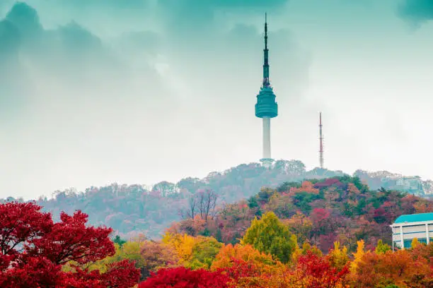 Namsan Seoul Tower and autumn maple in Korea
