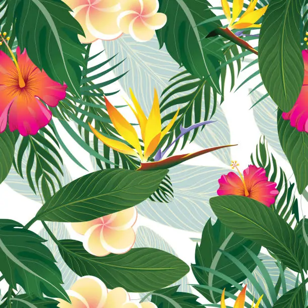 Vector illustration of Tropical pattern background of hibiscus, bird of paridise, and palm leaves isolated on white