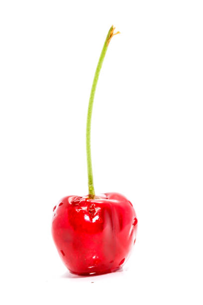 istock Closeup of Single red Fresh cherry on white background 937653740