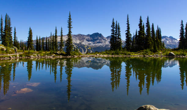 istock Summer hiking on Whistler 937656032