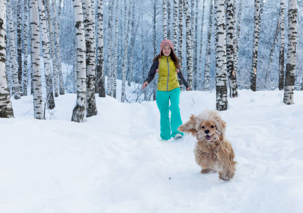 istock Girl with umbrella walking on the path and row trees. Winter 937656044