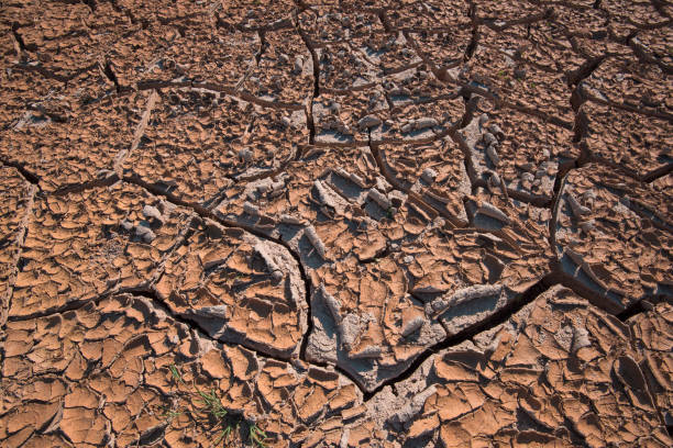 istock Soil textures and water after water evaporation 937660256