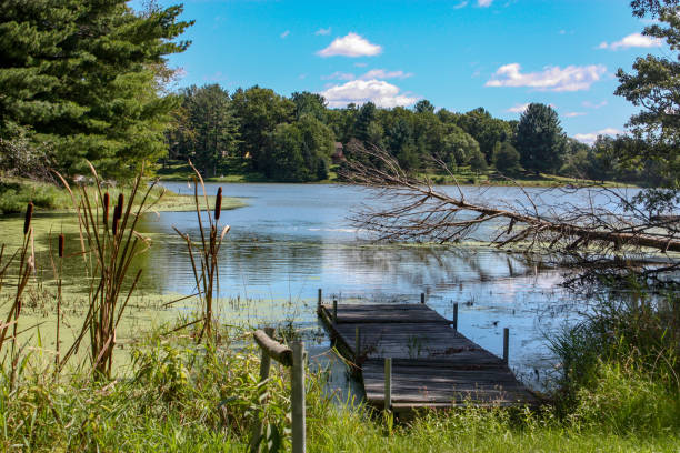 Beautiful Green Rural Place in Wisconsin