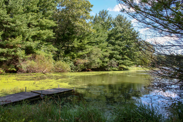 istock Magical Place by the Lake 937665074
