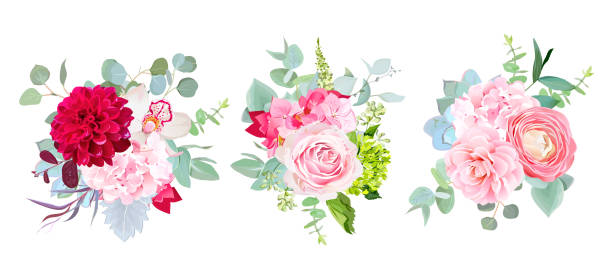 ilustrações de stock, clip art, desenhos animados e ícones de wedding seasonal flowers vector design bouquets - hydrangea white flower flower bed